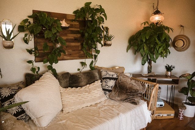 living room couch surrounded by wood and indoor plants