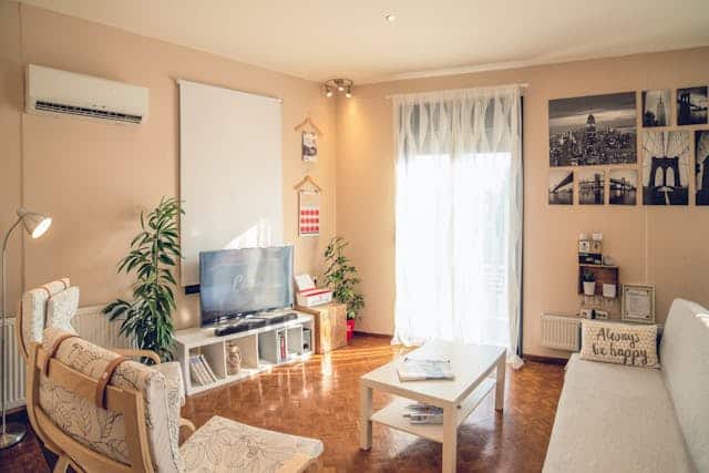 living room with warm colours and plants