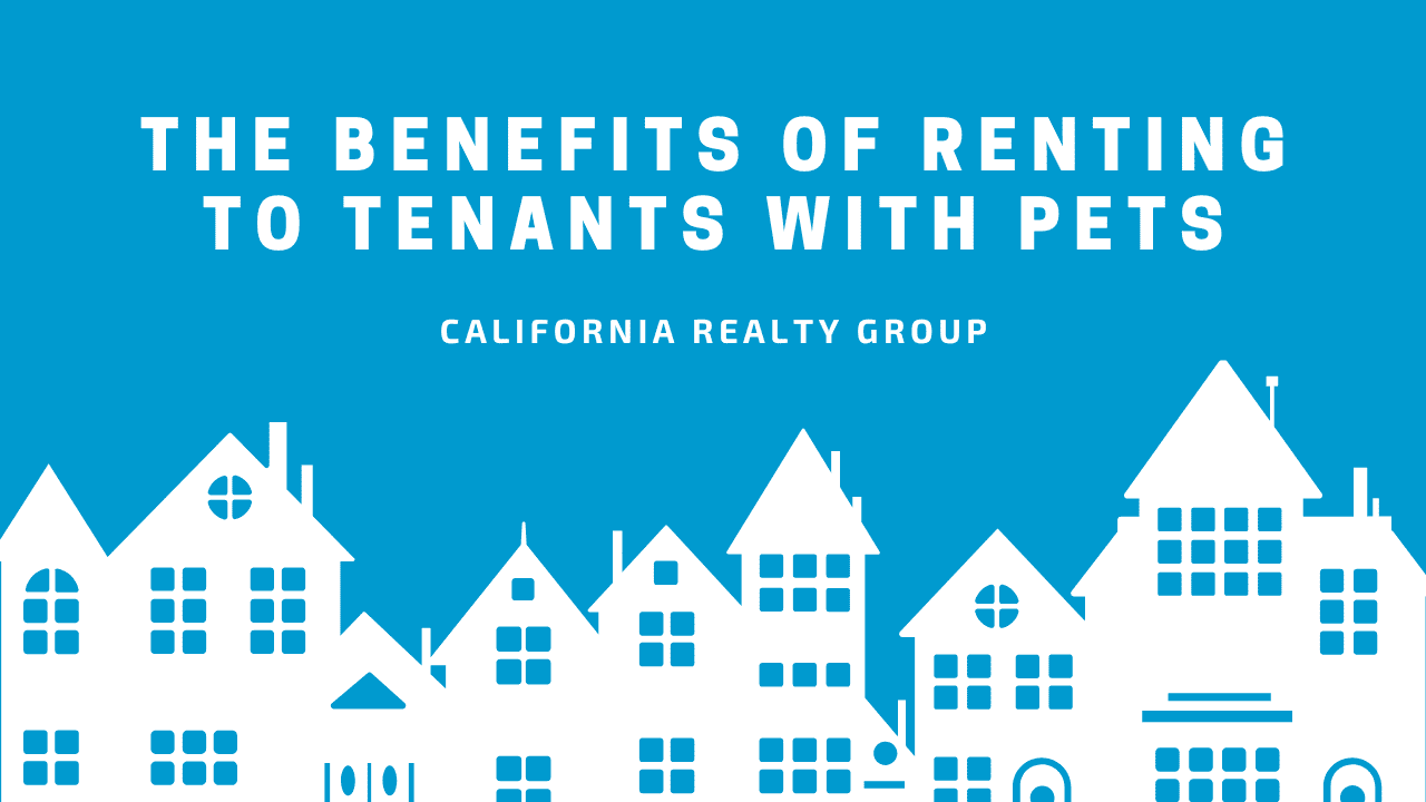 The Benefits of Renting to Tenants with Pets