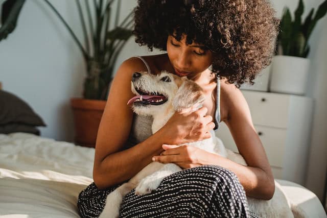 person sitting on the couch cuddling with their dog